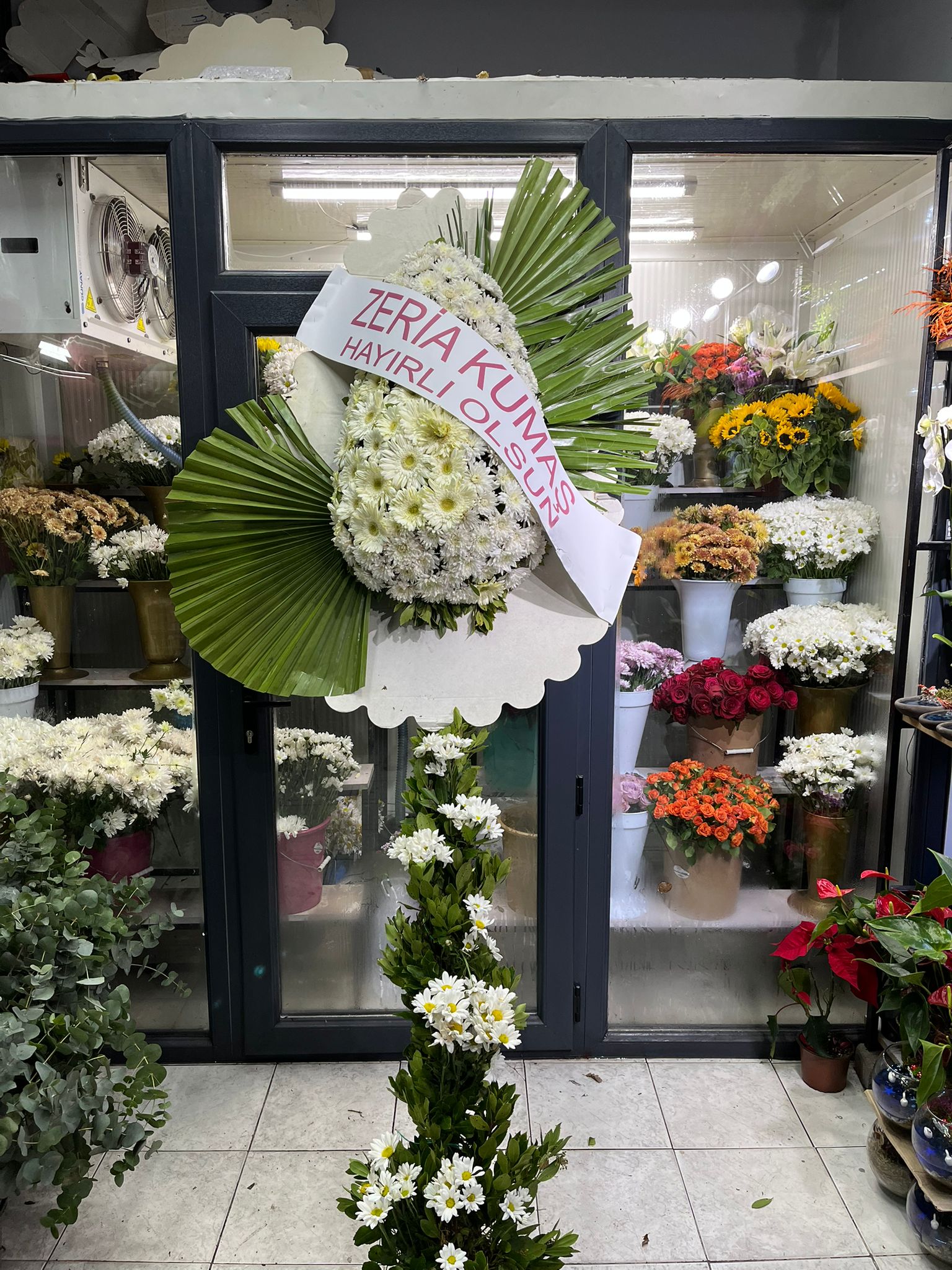 D�g�n A��l�� �elenk